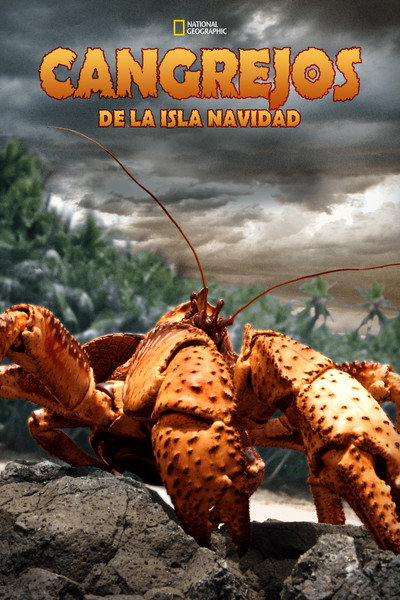 Póster de The Giant Robber Crab
