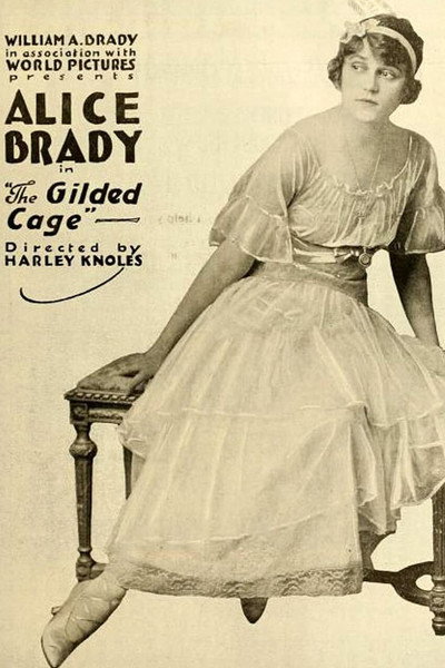 Póster de The Gilded Cage