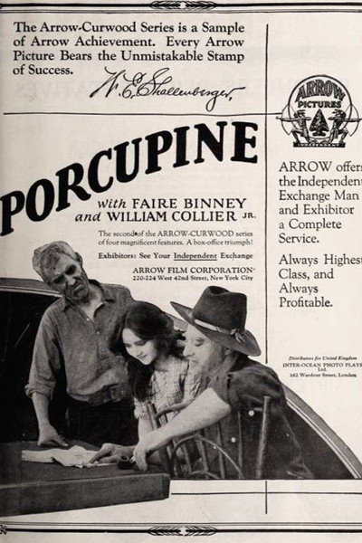 Póster de The Girl from Porcupine