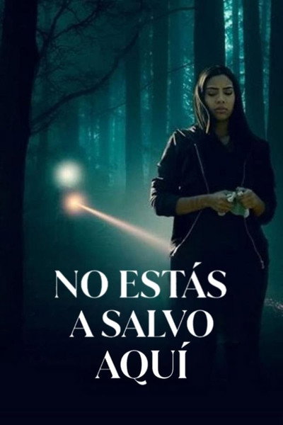 Póster de The Girl in the Window