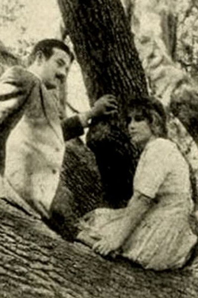 Póster de The Girl of the Grove