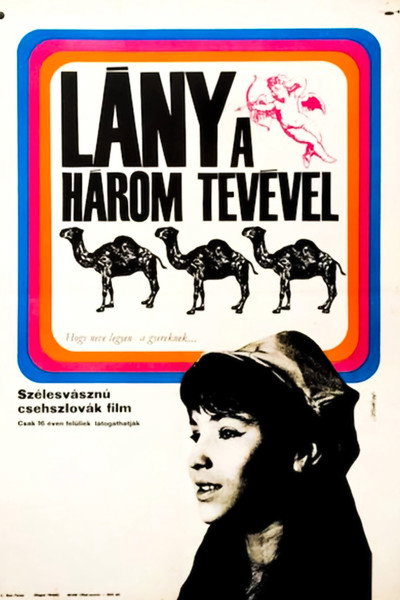 Póster de The Girl with Three Camels
