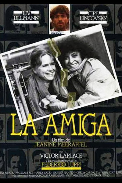 Póster de The Girlfriend