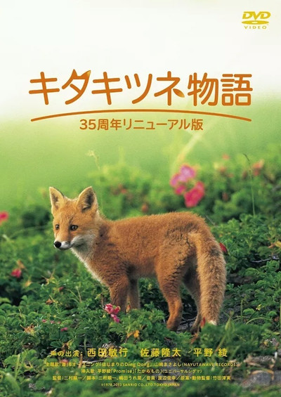 Póster de The Glacier Fox