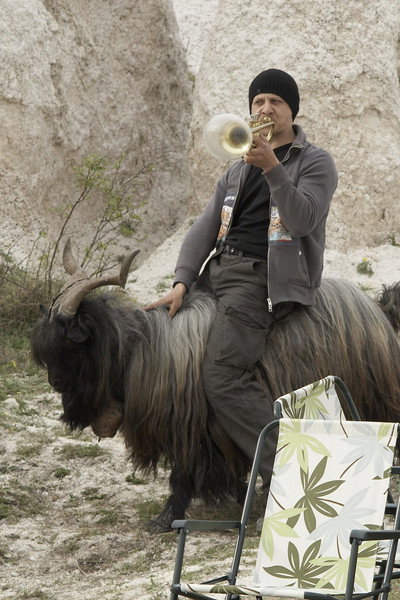 Póster de The Goat