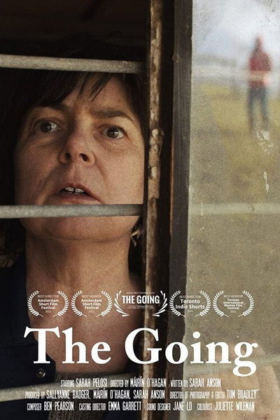 Póster de The Going