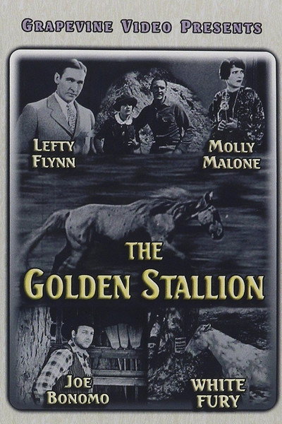Póster de The Golden Stallion