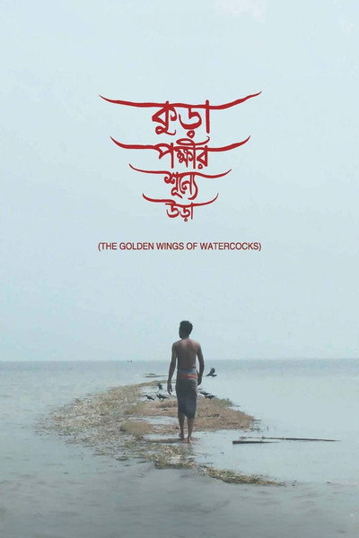 Póster de The Golden Wings of Watercocks