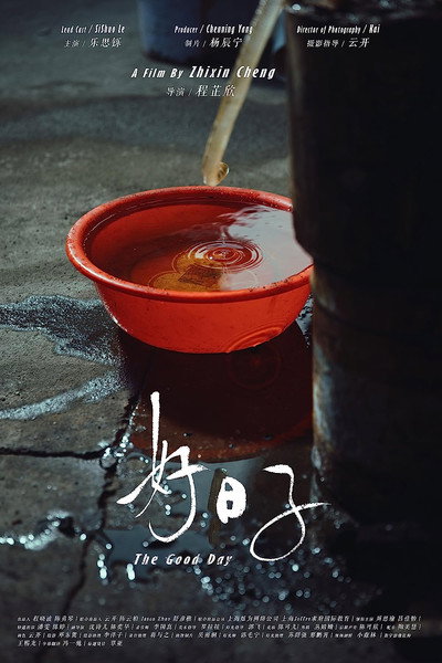 Póster de The Good Day