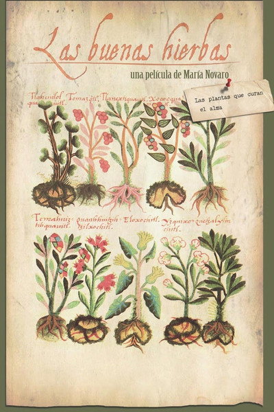 Póster de The Good Herbs