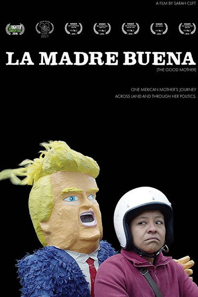 Póster de The Good Mother