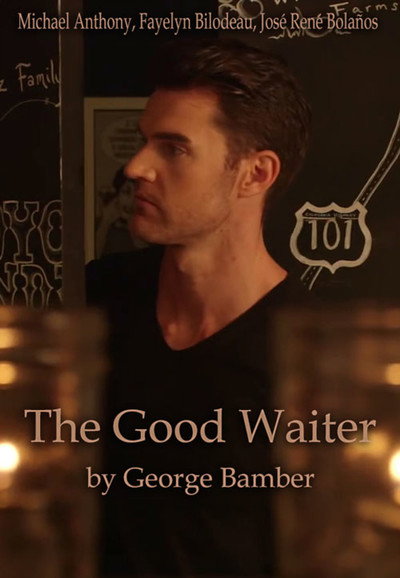 Póster de The Good Waiter