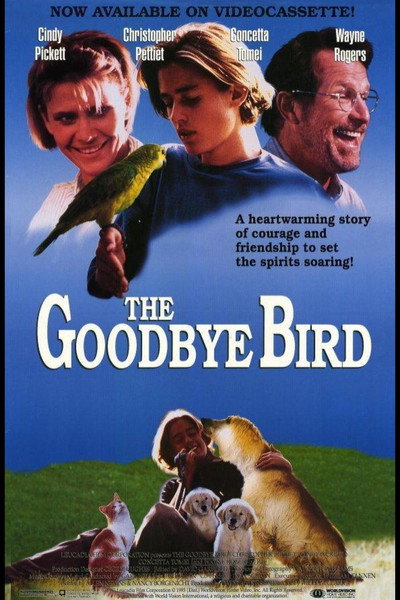 Póster de The Goodbye Bird
