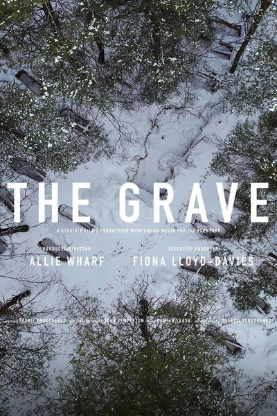 Póster de The Grave