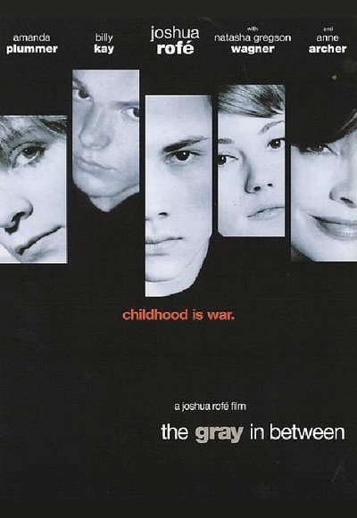 Póster de The Gray in Between