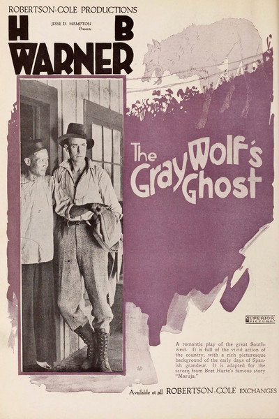 Póster de The Gray Wolf's Ghost