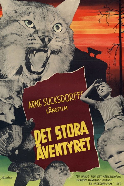 Póster de The Great Adventure