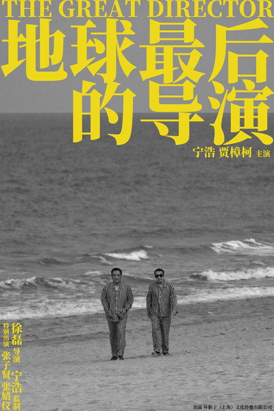 Póster de The Great Director