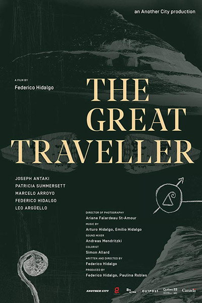 Póster de The Great Traveller