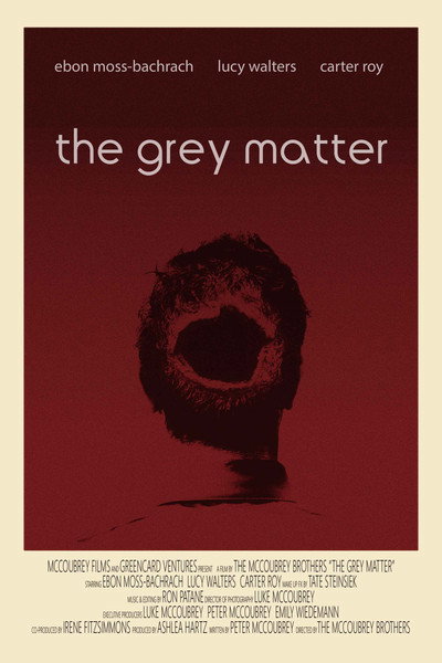 Póster de The Grey Matter