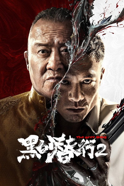 Póster de The Grey Men 2