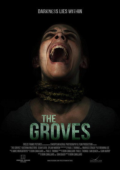 Póster de The Groves