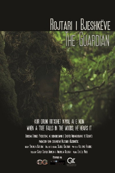 Póster de The Guardian