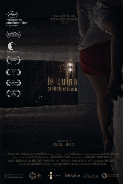 Póster de The Guilt, Probably