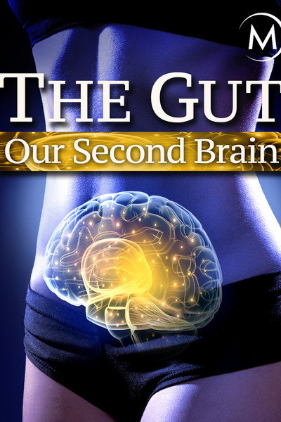 Póster de The Gut: Our Second Brain