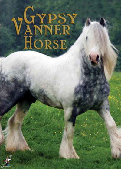 Póster de The Gypsy Vanner Horse