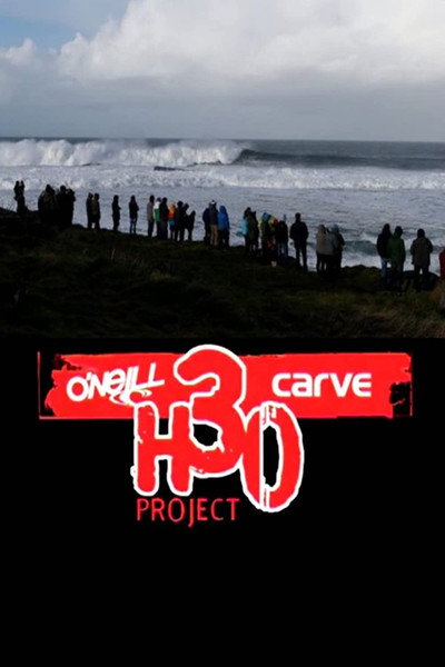 Póster de The H30 Project