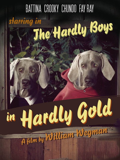 Póster de The Hardly Boys in Hardly Gold