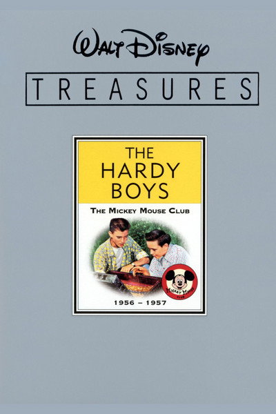 Póster de The Hardy Boys Unmasked