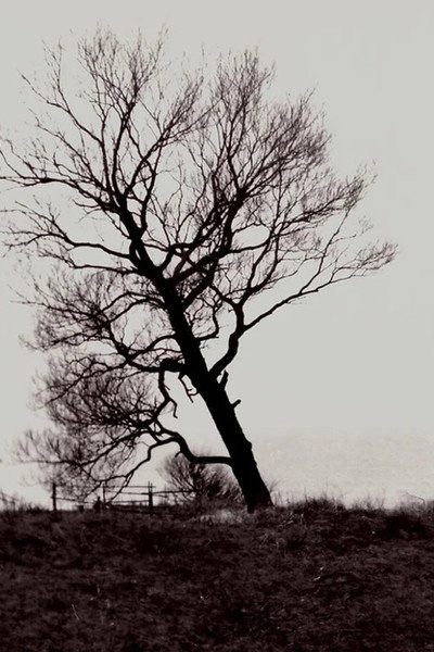 Póster de The Harrowed Coast