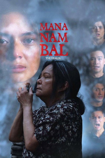 Póster de The Healer