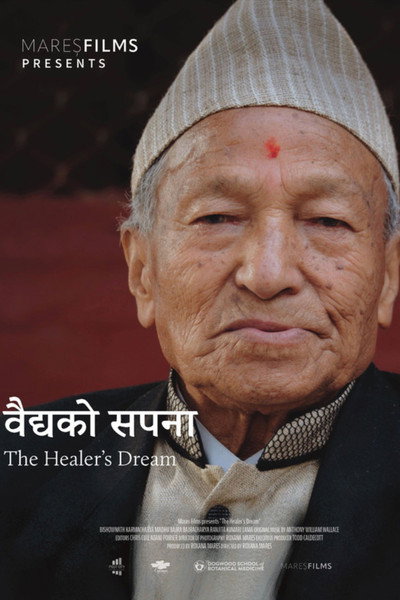 Póster de The Healer's Dream