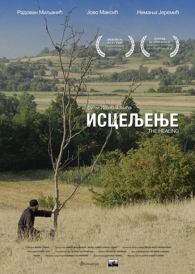 Póster de The Healing