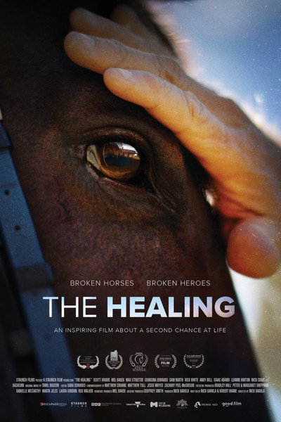Póster de The Healing