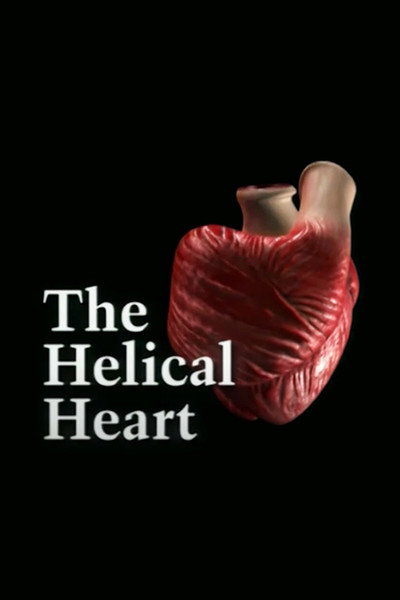Póster de The Helical Heart