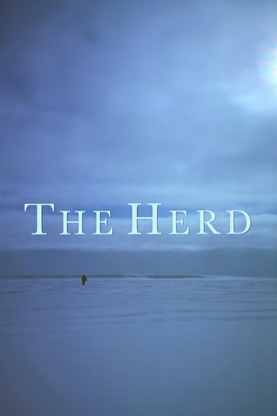 Póster de The Herd