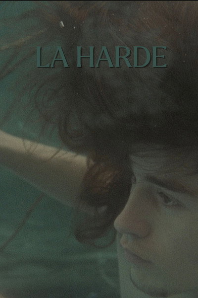 Póster de The Herd