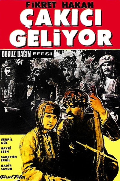 Póster de The Hero of Nine Mountains