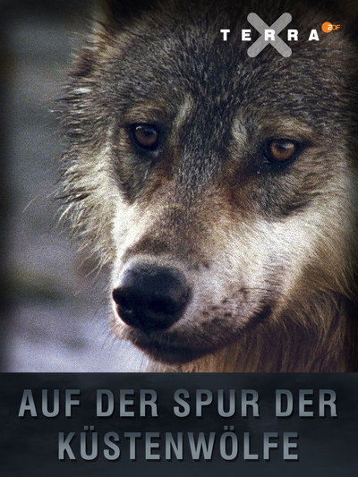 Póster de The Hidden Trail: Tracking Canada's Coastal Wolves