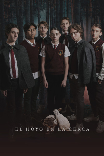 Póster de The Hole in the Fence