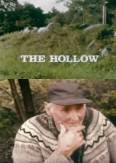 Póster de The Hollow