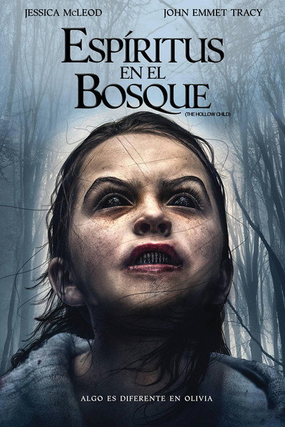 Póster de The Hollow Child