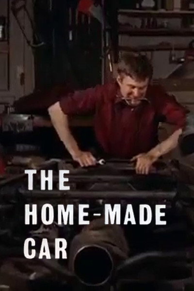 Póster de The Home-Made Car