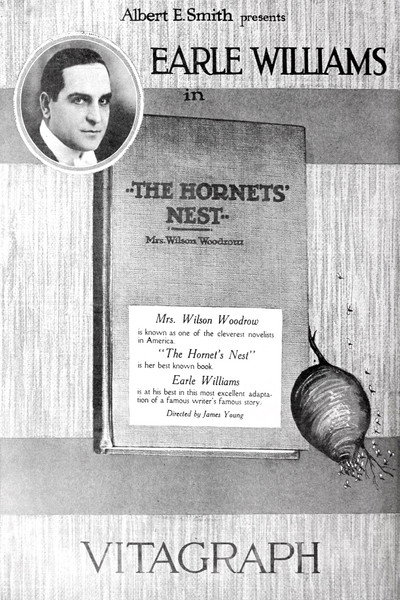 Póster de The Hornet's Nest