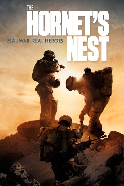 Póster de The Hornet's Nest