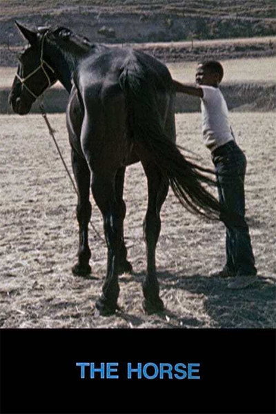 Póster de The Horse